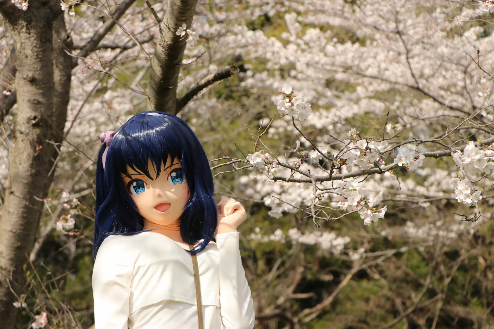 Osumi Akariと桜が共に映る写真